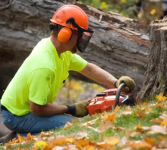 tree services Red Creek